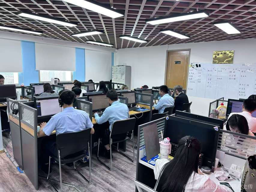 新疆耀鑫信息咨询服务 开启专业信息咨询新篇章