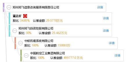 郑州郑飞信息咨询服务有限责任公司 专业信息咨询服务的引领者